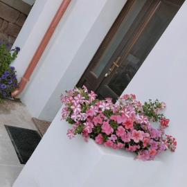 Suite da Ninna 2, hotel en Allai