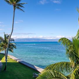 Luxury Oceanfront Turtles Sunsets - indigomaui -