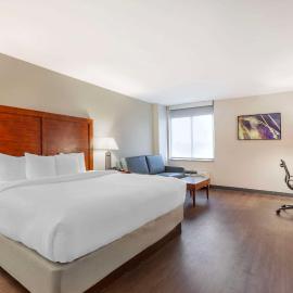 Comfort Inn Conference Center, hotel u gradu Bui