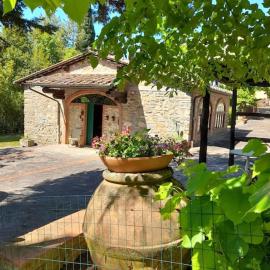Cozy barn in the green