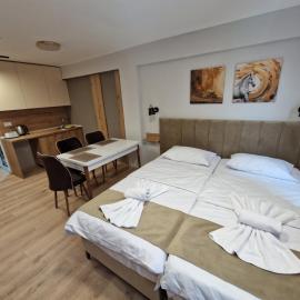 Hotel CENTRAL, hotel en Prilep