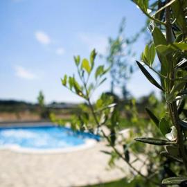 Villa Marčeta Authentic Stay in Istria