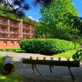 Horský Hotel Podjavorník, hotel i Papradno