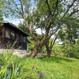 Casa din sat, hotelli kohteessa Marginea Pădurii