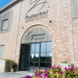 Equus B&B, hotel en Bredene