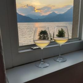 Cheers sunset 097084-LNI-00008