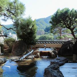Wakamatsu HakoneYugawara, hotel in Yugawara
