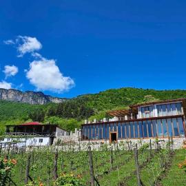 Korenishuli Veranda Wine Hotel 45 km from Tsageri, hotel u gradu 'Tsʼageri'