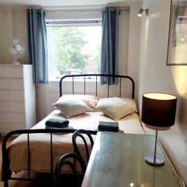 Nice room in Battersea Park Zone 1, Hotel in Battersea