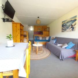 Charmant Studio Le Lioran - Tour Sumène, hotel in Laveissière
