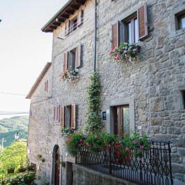 The house of Gostina