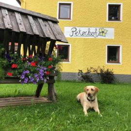 Hinterstoder में, होटल Peterhof – komm als Gast & geh als Freund