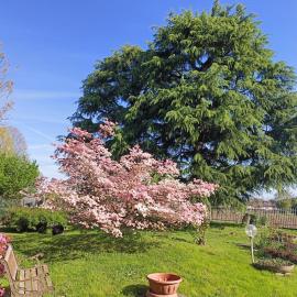 Viesnīca B&B Il Melograno pilsētā Lomačo