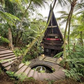 Batak Legacy, A Jungle Hideaway