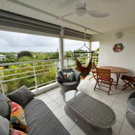 Aux aigrettes à Sainte Anne, T3 tout confort, piscine, réserve d'eau, proche de la plage de Bois-Jolan