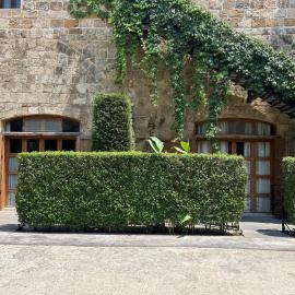 Old Town Guesthouses-Batroun, hotel di Batroûn