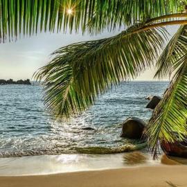 Baga Beach Palms, ξενοδοχείο σε Baga