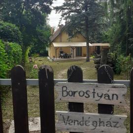 Borostyán Vendégház, hotel a Tiszaug