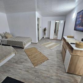 Casa David