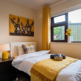Dublin Suburban Haven، فندق في دبلن