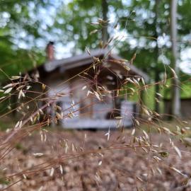 Bjärnhultsgårdens stugor, hotell i Linderöd