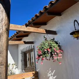 The Zarzamora Canary Little Home