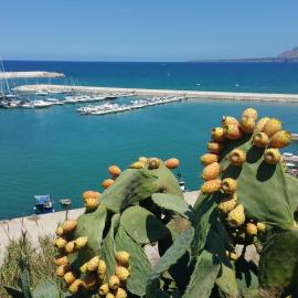 Loft in Balestrate vicino al Mare - Rental BeB