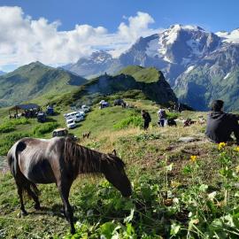 Sarag Family Guesthouse Svaneti, hotel in Mestia