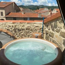 Le 19 - 38m2 Terrasse Jacuzzi - Centre Historique - Clim, מלון בLangeac