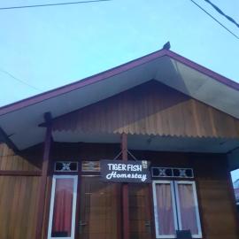 Tiger fish homestay, Hotel in Bunaken