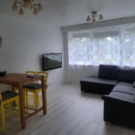 Koidula külaliskorter