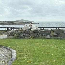 Apartment 471 - Clifden, hotel in Clifden