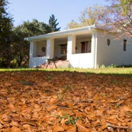 Khayalethu Cottage, hotel in Hogsback