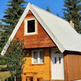 Forest Cabin 3
