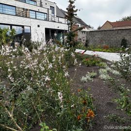 Vakantiewoning Erf64, ξενοδοχείο σε Sint-Amands