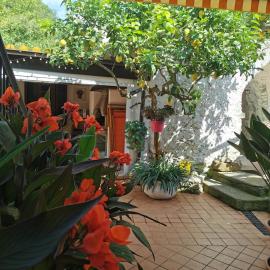 "Lemon Tree House"for Climbers and Mtb