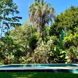 Ginger and Cacao, Luxury Villas and Cottage with Pool and Ocean Views, hotel din Puerto Viejo