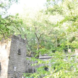 Il castello nel bosco