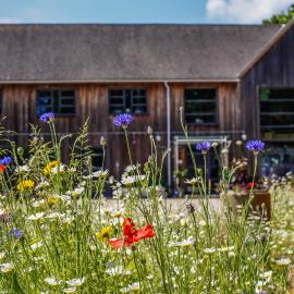 Claron Lodge, hotel in West Wittering