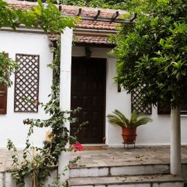 Lemon Tree House