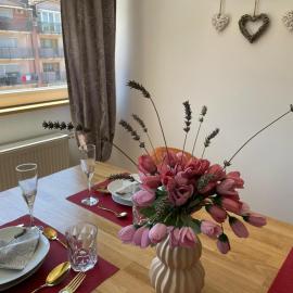 Apartman Lana