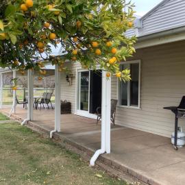 Orange Tree Cottage, hotel i King Valley