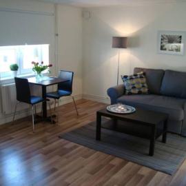 Modern 2 room apartment in the city centre