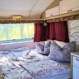 Camping Poiana Stelelor, Hotel in Văleni
