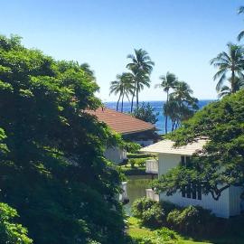 Viesnīca Lovely Remodeled Garden Deluxe Kiahuna Condo Partial Ocean View pilsētā Koloa