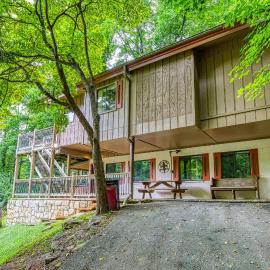 Gatlinburg Eagle View 2 #820