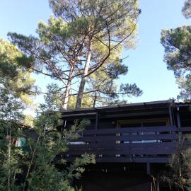 Chalet dans les pins, hotel i Carcans