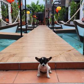 Coco Bungalows Hoi An