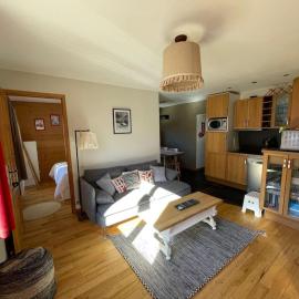 F3 de standing dans chalet en pied de pistes, Hotel in Saint-Chaffrey