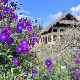 Ho May Garden Retreat - Moc Chau, hotel in Mộc Châu